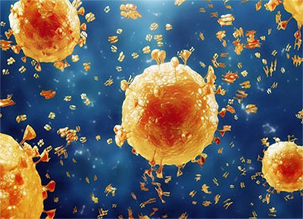 Swine Flu Treatment